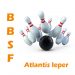 Atlantis Ieper verliest de laatste match van het seizoen met 6-25.